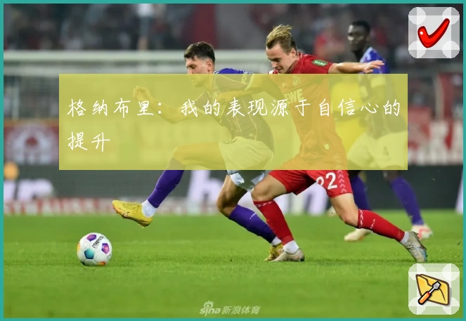 格纳布里:我的表现源于自信心的提升